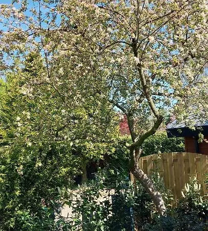 Natuur, Comfort, Rust, Mooie Omgeving Putten